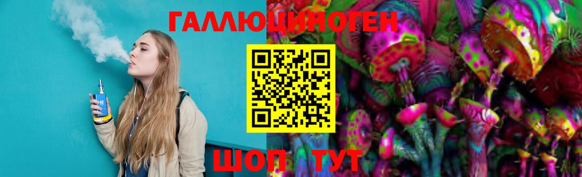Псилоцибиновые грибы Psilocybe Дальнереченск